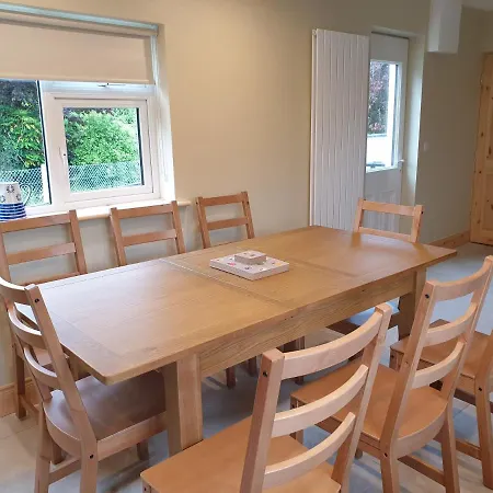 Reed Warbler Ballinrobe