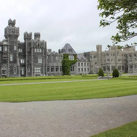 Reed Warbler Tatil Evi