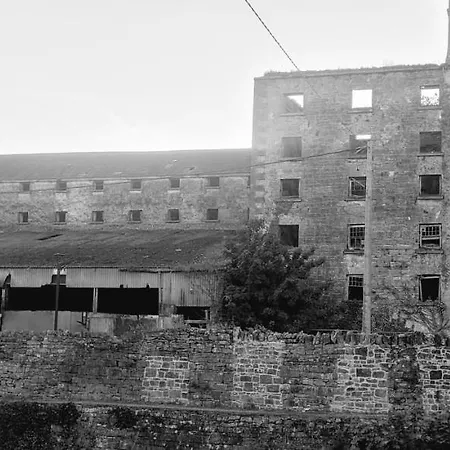 Reed Warbler Ballinrobe