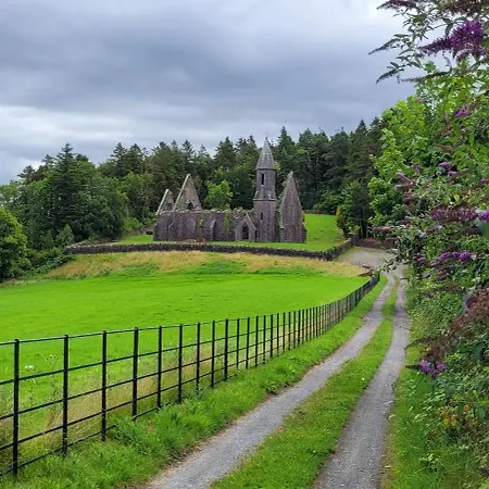 Reed Warbler Tatil Evi