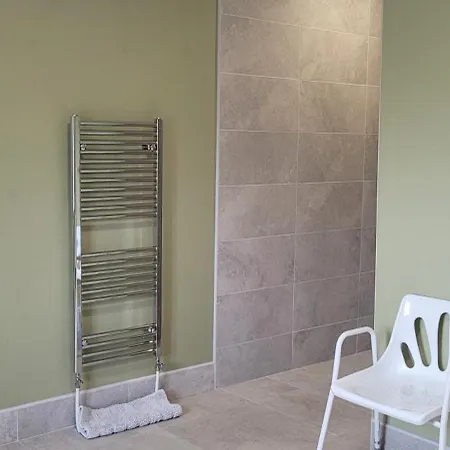 Reed Warbler * Ballinrobe