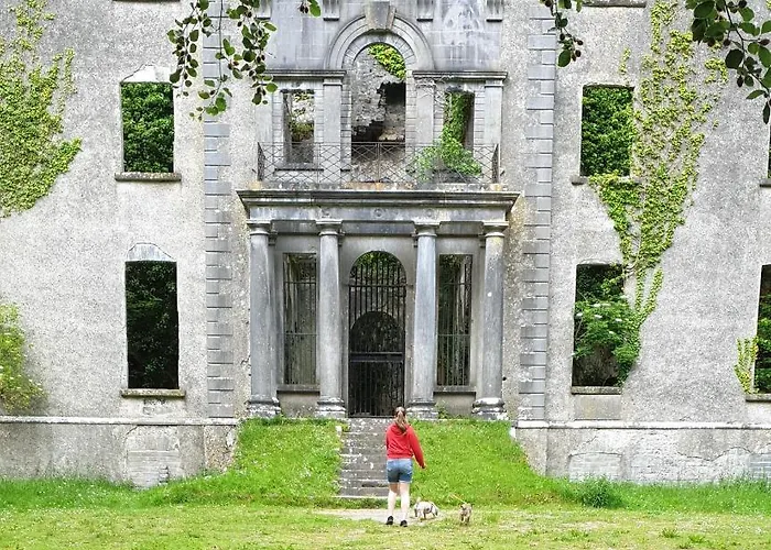 Reed Warbler Casa vacanze Ballinrobe