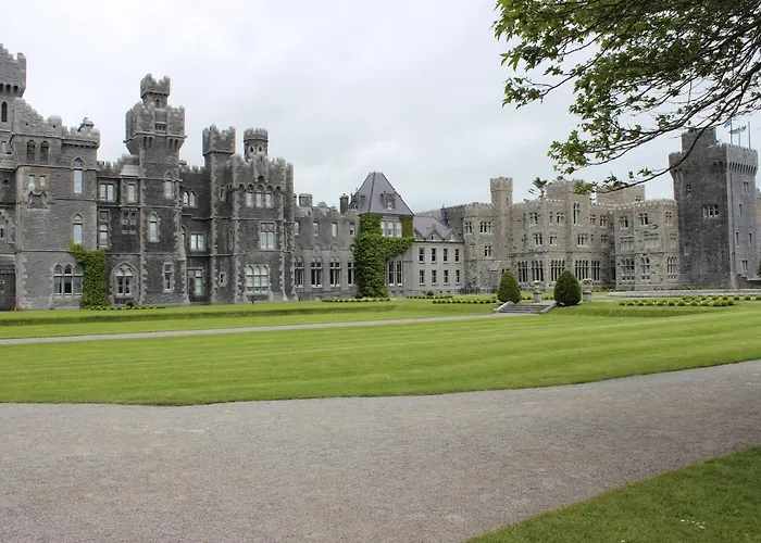 Reed Warbler Casa vacanze