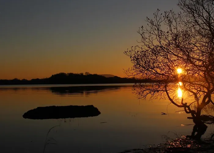 Casa vacanze Reed Warbler *