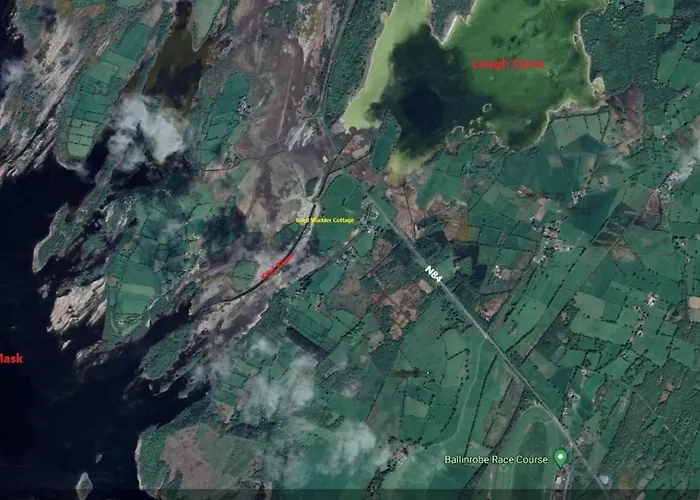 Casa vacanze Reed Warbler