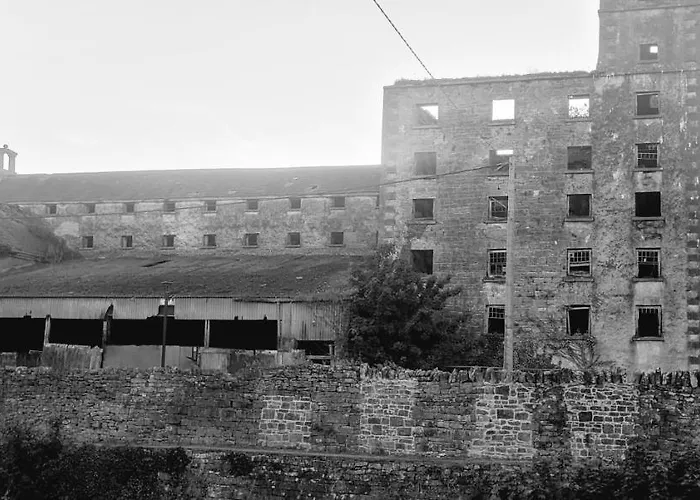 Reed Warbler Ballinrobe